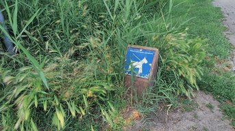 Het grasaarseizoen is weer begonnen: let goed op je hond!